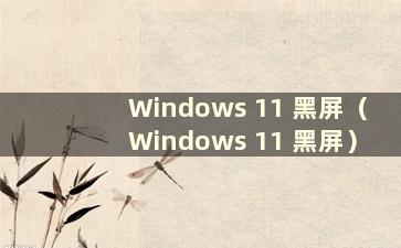 Windows 11 黑屏（Windows 11 黑屏）